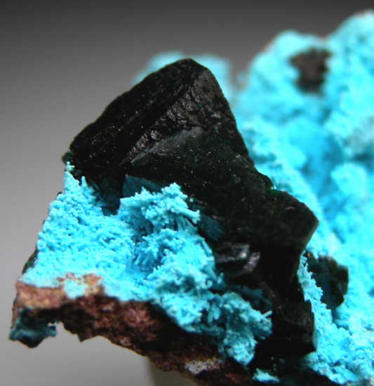Malachite crystals on Chrysocolla from Mashamba West Mine, Lualaba, DR Congo [db_pics/pics/p282d.jpg]