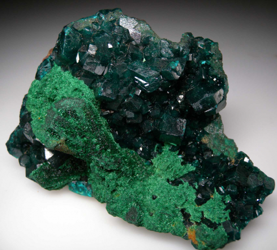 Dioptase with Malachite from Kapata Mine, Kolwezi, Lualaba, DR Congo [db_pics/pics/p284c.jpg]