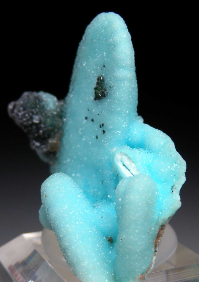 Chrysocolla pseudomorph from Tenke-Fungurume, Lualaba, DR Congo [db_pics/pics/p288b.jpg]