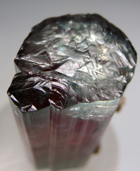 Tourmaline from Sapo Mine, Minas Gerais, Brazil [db_pics/pics/p306d.jpg]