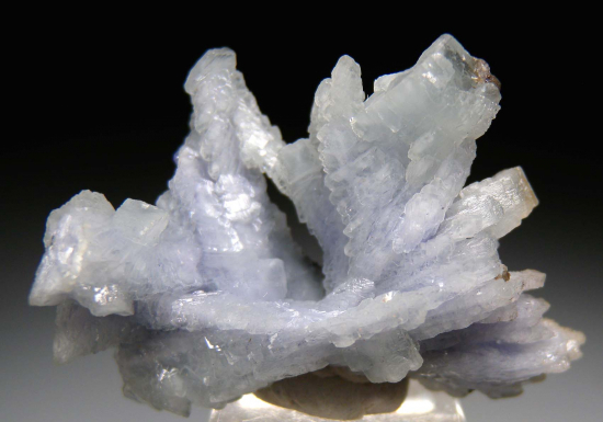 Prehnite after Tanzanite from Merelani Hills, Arusha, Tanzania [db_pics/pics/p308a.jpg]