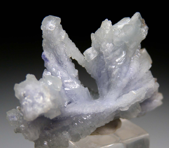 Prehnite after Tanzanite from Merelani Hills, Arusha, Tanzania [db_pics/pics/p308c.jpg]