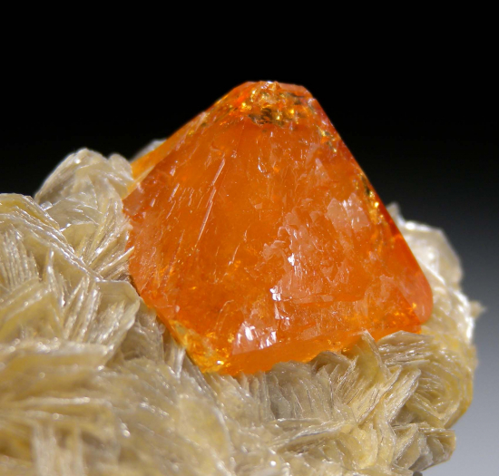 Scheelite on Muscovite from Mt Xuebaoding, Ping Wu, Sichuan Prov., China [db_pics/pics/p318b.jpg]