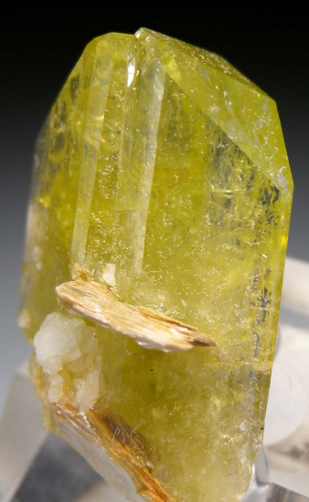 Brazilianite from Telirio Mine, Minas Gerais, Brazil [db_pics/pics/p333d.jpg]