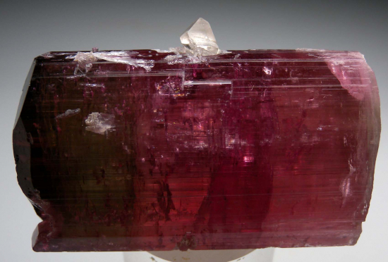 Tourmaline from Himalaya Mine, Mesa Grande, San Diego Co., California, USA [db_pics/pics/p347d.jpg]