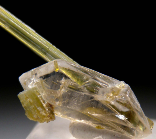 Tourmaline on Quartz from Himalaya Mine, Mesa Grande, San Diego Co., California, USA [db_pics/pics/p351d.jpg]