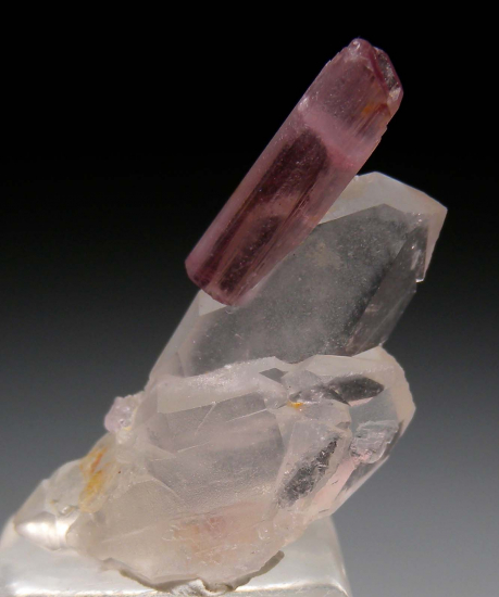 Tourmaline on Quartz from Himalaya Mine, Mesa Grande, San Diego Co., California, USA [db_pics/pics/p358a.jpg]
