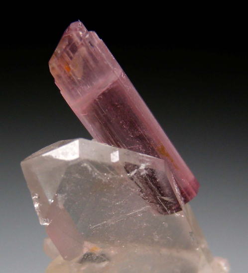 Tourmaline on Quartz from Himalaya Mine, Mesa Grande, San Diego Co., California, USA [db_pics/pics/p358c.jpg]