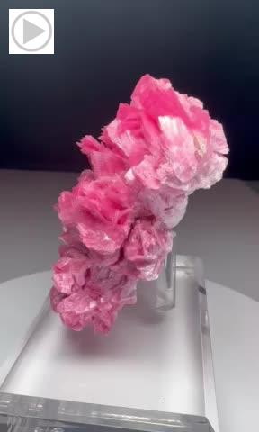 Rhodonite from San Martin Mine, Chiuruco, Ancash Dept., Peru [db_pics/pics/p383.mp4]