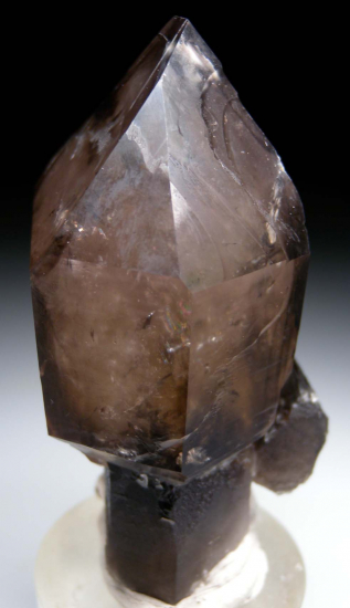 Quartz scepter from Petersen Mountain Quartz Mines, Hallelujah Junction area, Washoe County, Nevada, USA [db_pics/pics/p387b.jpg]