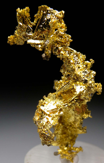 Gold from Eagle's Nest Mine, Michigan Bluff, Placer County, California, USA [db_pics/pics/p390c.jpg]