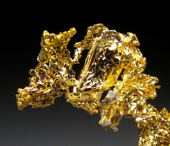 Gold from Eagle's Nest Mine, Michigan Bluff, Placer County, California, USA [db_pics/pics/p390e.jpg]