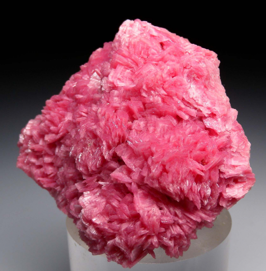Rhodonite from San Martin Mine, Chiuruco, Ancash Dept., Peru [db_pics/pics/p392b.jpg]