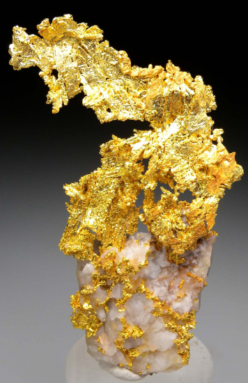 Gold on Quartz from Eagle's Nest Mine, Michigan Bluff, Placer County, California, USA [db_pics/pics/p399a.jpg]