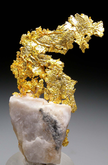 Gold on Quartz from Eagle's Nest Mine, Michigan Bluff, Placer County, California, USA [db_pics/pics/p399b.jpg]
