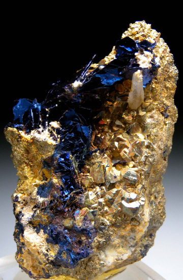 Covellite on Pyrite from Butte, Silver Bow Co., Montana, USA [db_pics/pics/p400a.jpg]