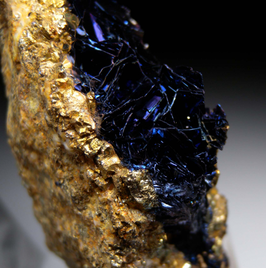 Covellite on Pyrite from Butte, Silver Bow Co., Montana, USA [db_pics/pics/p400e.jpg]