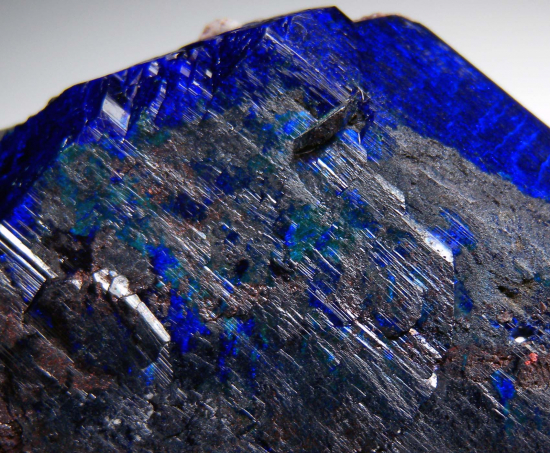 Azurite with Chalcocite from Milpillas Mine, Cuitaca, Sonora, Mexico [db_pics/pics/p411e.jpg]
