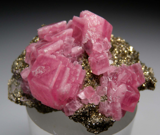 Rhodochrosite on Pyrite from Santa Rita Mine, Morococha District, Yauli Province, Junín, Peru [db_pics/pics/p443a.jpg]