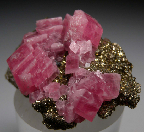 Rhodochrosite on Pyrite from Santa Rita Mine, Morococha District, Yauli Province, Junín, Peru [db_pics/pics/p443b.jpg]