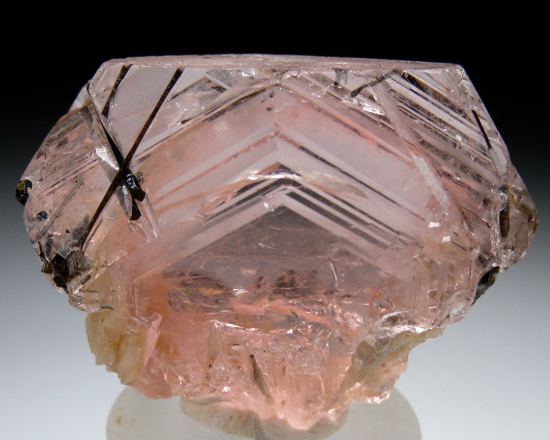 Morganite with Tourmaline from Corrego do Urucum Pegmatite, Galileia, Minas Gerais, Brazil [db_pics/pics/p483a.jpg]