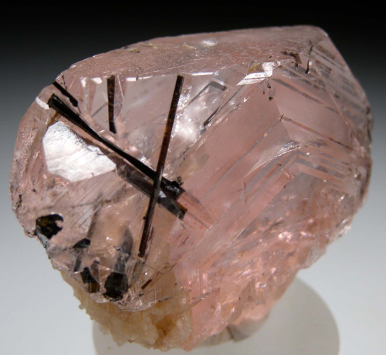 Morganite with Tourmaline from Corrego do Urucum Pegmatite, Galileia, Minas Gerais, Brazil [db_pics/pics/p483b.jpg]