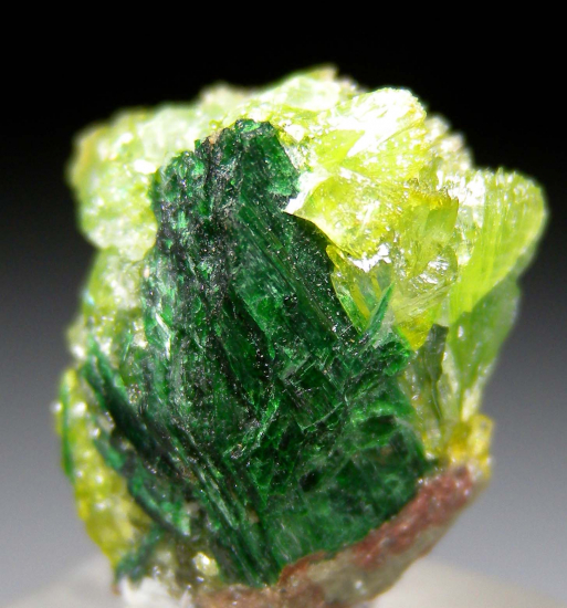 Szenicsite, Cuprian Powellite from Tierra Amarilla, Copiapo Province, Chile [db_pics/pics/p492c.jpg]