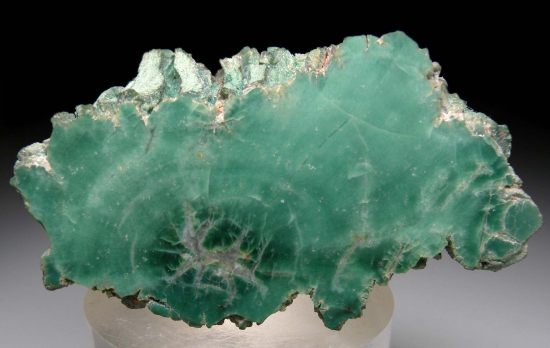 Quartz after wood from Holbrook, Navajo Co., Arizona, USA [db_pics/pics/p496a.jpg]