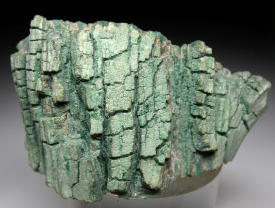 Quartz after wood from Holbrook, Navajo Co., Arizona, USA [db_pics/pics/p496c.jpg]