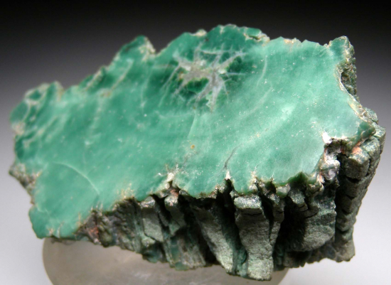 Quartz after wood from Holbrook, Navajo Co., Arizona, USA [db_pics/pics/p496d.jpg]