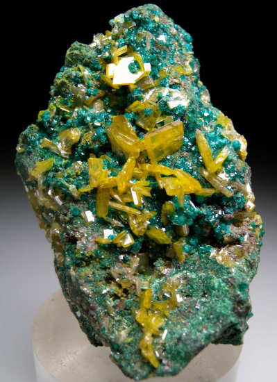 Wulfenite on Dioptase from Tsumeb, Namibia [db_pics/pics/p515a.jpg]