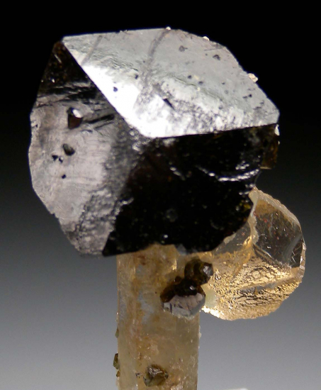 Uvite, Dolomite on Quartz from Pedra Pit, Brumado, Bahia, Brazil [db_pics/pics/p522d.jpg]
