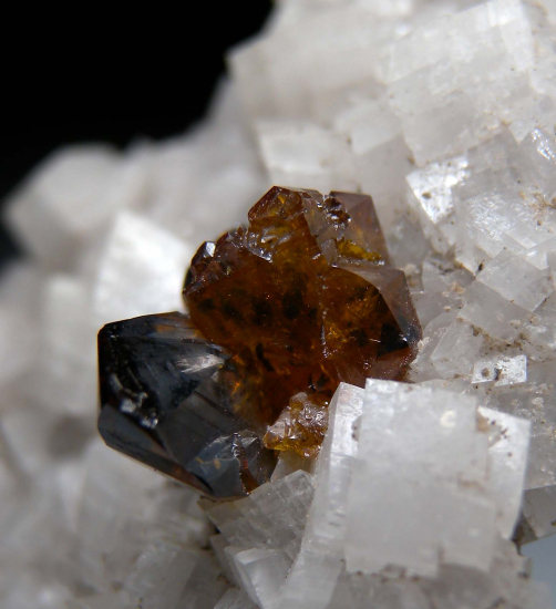 Sphalerite on Dolomite from Penfield Quarry, Monroe County, New York, USA [db_pics/pics/p549b.jpg]