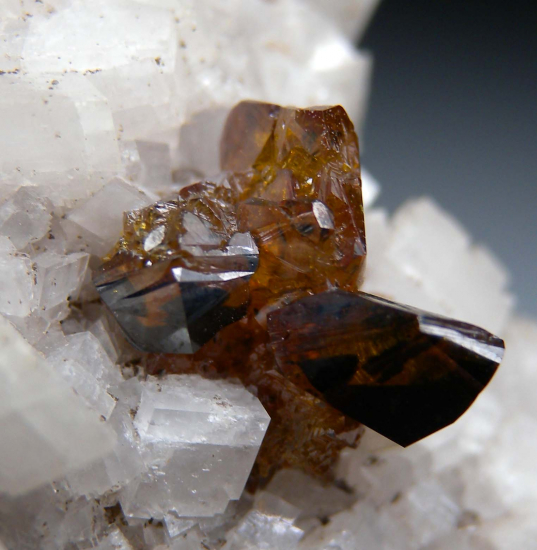 Sphalerite on Dolomite from Penfield Quarry, Monroe County, New York, USA [db_pics/pics/p549c.jpg]