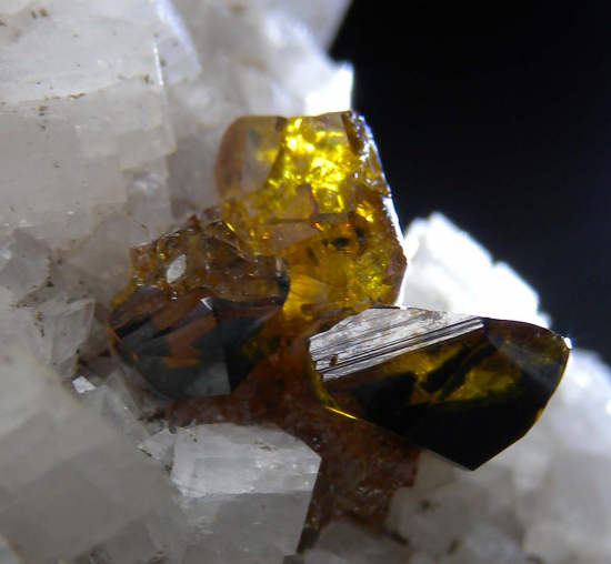 Sphalerite on Dolomite from Penfield Quarry, Monroe County, New York, USA [db_pics/pics/p549d.jpg]