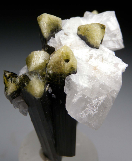 Tourmaline with Albite from Stak Nala, Skardu, Pakistan [db_pics/pics/p552a.jpg]