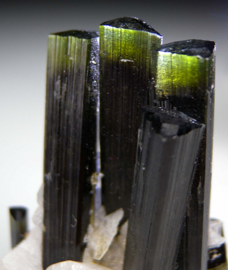 Tourmaline with Albite from Stak Nala, Skardu, Pakistan [db_pics/pics/p552c.jpg]