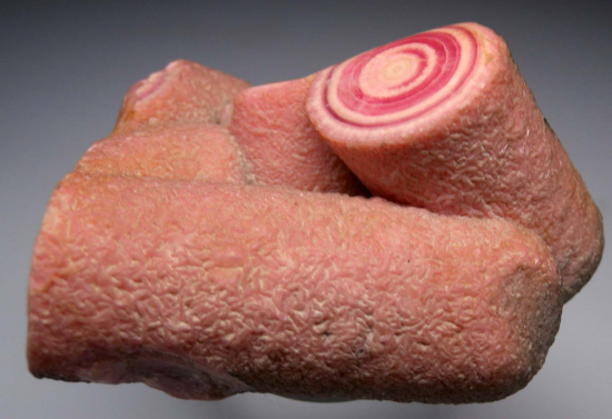 Rhodochrosite stalactites from Capillitas Mine, Catamarca Prov., Argentina [db_pics/pics/p557b.jpg]