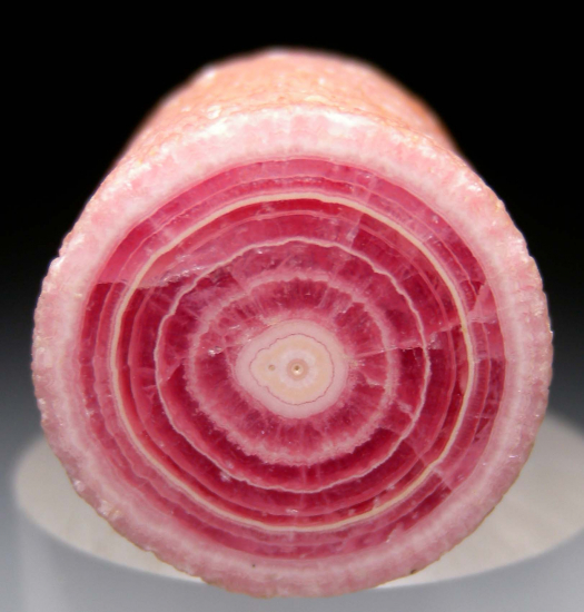 Rhodochrosite stalactite from Capillitas Mine, Catamarca Prov., Argentina [db_pics/pics/p559b.jpg]