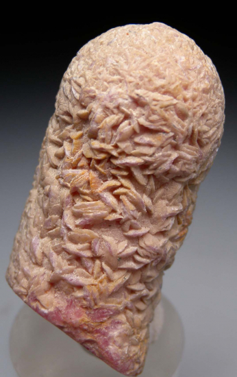 Rhodochrosite stalactite from Capillitas Mine, Catamarca Prov., Argentina [db_pics/pics/p566b.jpg]