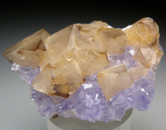 Scheelite on Fluorite from Yaogangxian Mine, Hunan, China [db_pics/pics/p571a.jpg]