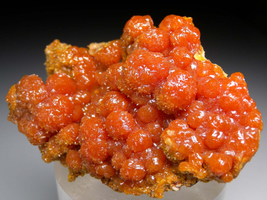 Pyromorphite from Bunker Hill Mine, Kellogg, Idaho, USA [db_pics/pics/p586c.jpg]