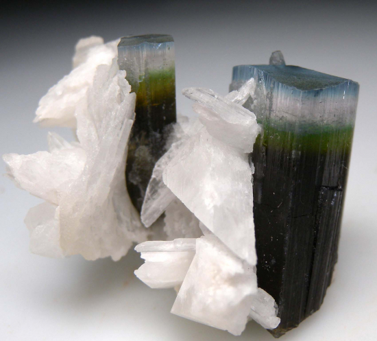 Hambergite on Tourmaline from Stak Nala, Skardu Dist., Pakistan [db_pics/pics/p594d.jpg]