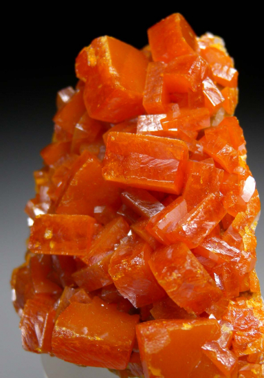 Wulfenite from Los Lamentos, Chihuahua, Mexico [db_pics/pics/p597b.jpg]