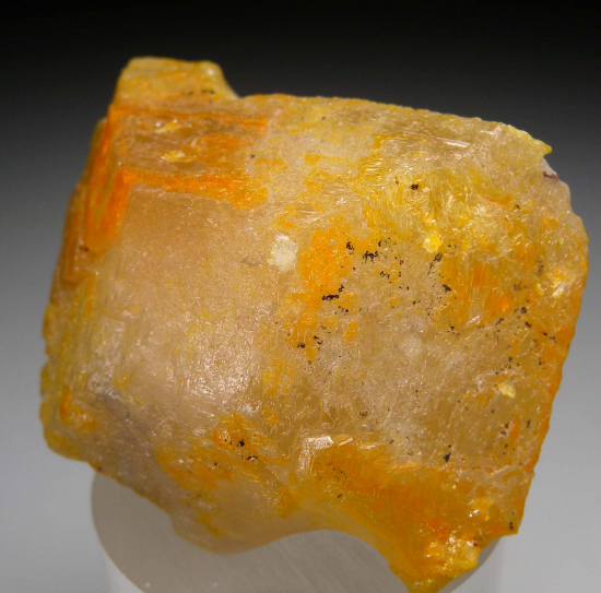 Wulfenite from Mfouati, Bouenza Department, Republic of the Congo [db_pics/pics/p598c.jpg]