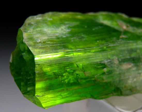 Tremolite from Merelani Hills, Arusha, Tanzania [db_pics/pics/p608c.jpg]