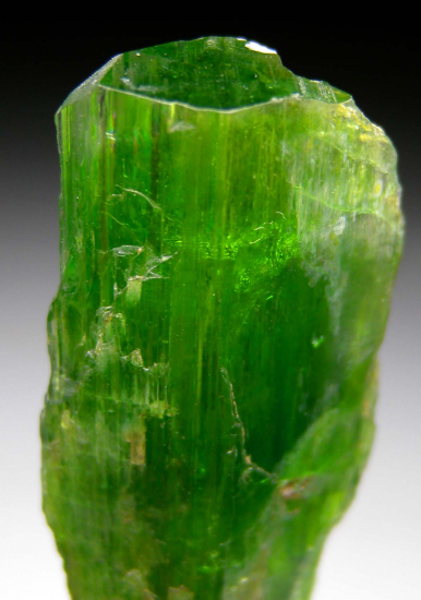 Tremolite from Merelani Hills, Arusha, Tanzania [db_pics/pics/p608d.jpg]