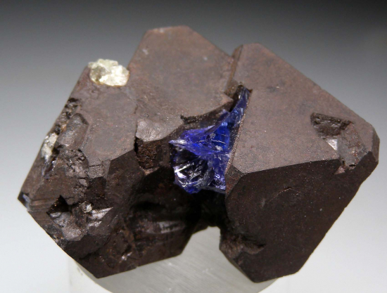 Tanzanite on Alabandite from Merelani Hills, Arusha, Tanzania [db_pics/pics/p609e.jpg]