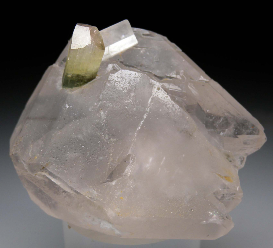 Hambergite, Tourmaline on Quartz from Stak Nala, Skardu Dist., Pakistan [db_pics/pics/p613a.jpg]