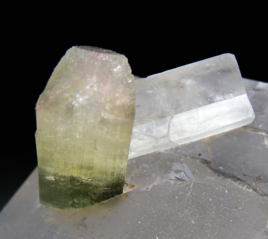 Hambergite, Tourmaline on Quartz from Stak Nala, Skardu Dist., Pakistan [db_pics/pics/p613c.jpg]